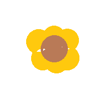 ilus pilt